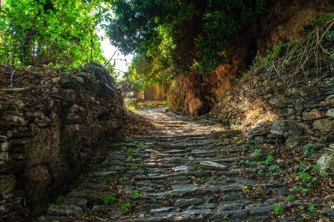 A paved alley with impressive nature around in Makrinitsa village, Pelion.