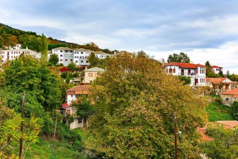 Traditional houses and dense vegetation in Portaria village, Pelion.