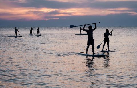 Stand Up Paddle (SUP) Tours & Rentals 1