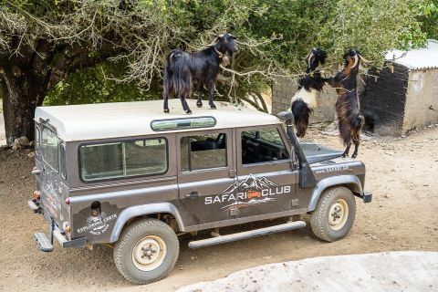 Land Rover Safari on Minoan Route 1