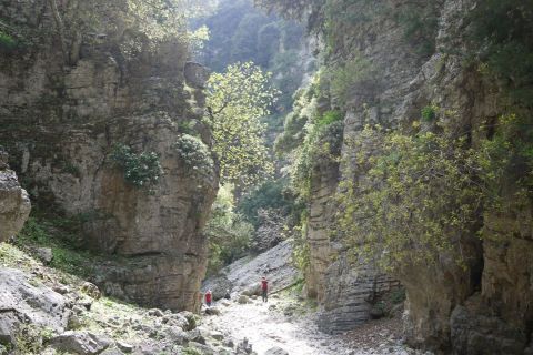 Day Trip to Imbros Gorge and Fragokastello 1