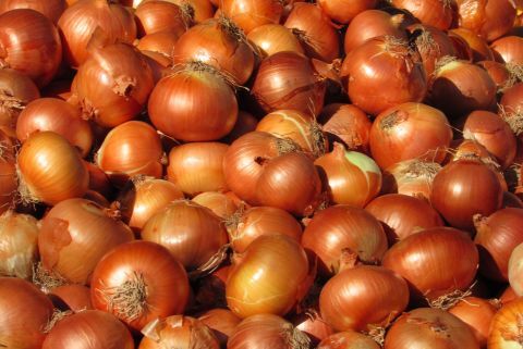 Laiki Agora (Farmer's market): Onions 