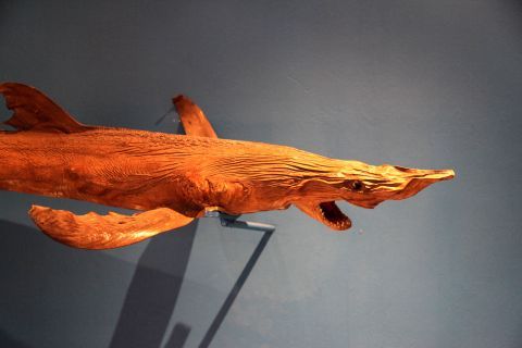 Aquarium: The museum displays embalmed sea species.