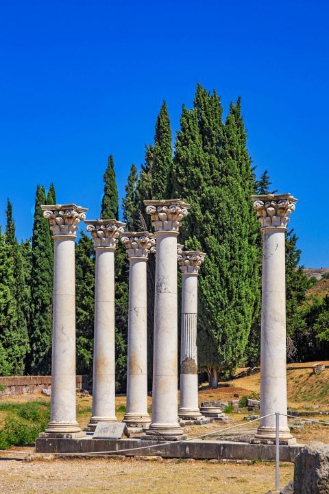 Asklepieion: Restored columns that belong to the Ionic Temple of Apollo (II Century BC).