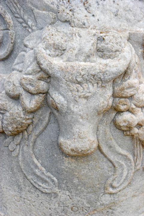 Delos Island: A Bull carved on the base of a marble column in Delos