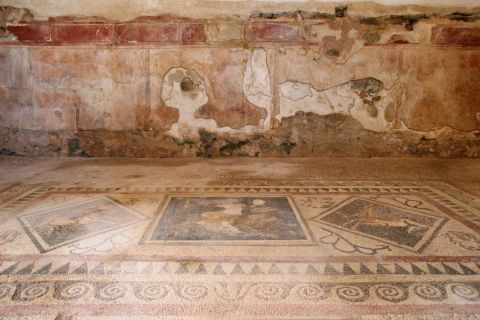 Delos Island: Wall and floor decoration in Delos