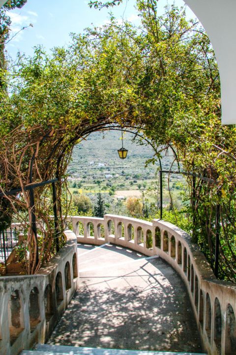 Agios Nektarios Monastery: Relaxing view of the natural surroundings.