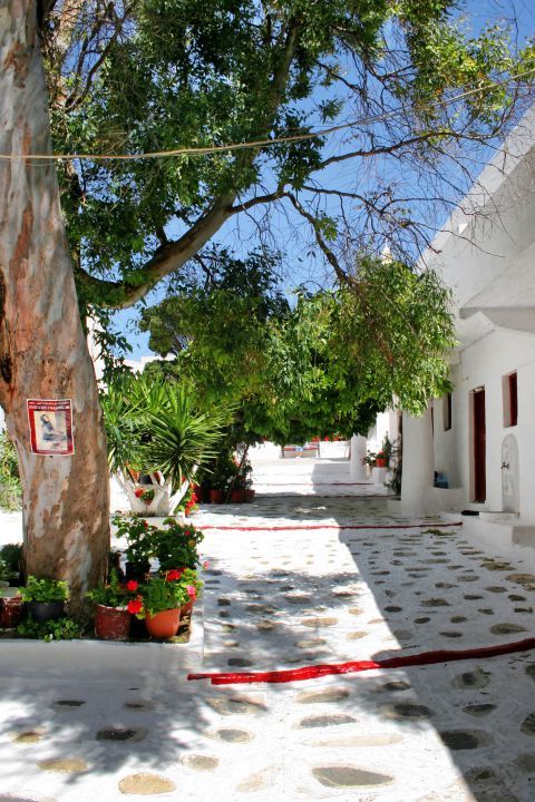 Paleokastro Monastery: The whitewashed yard of the Monastery of Paleokastro