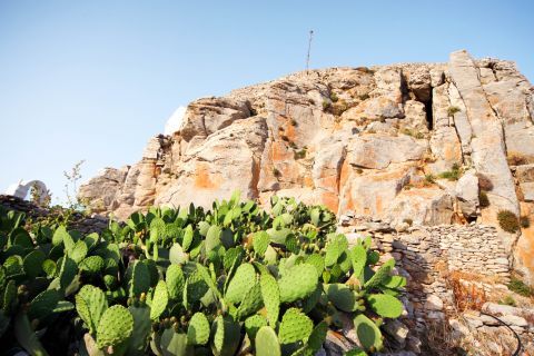 Venetian Castle: Short vegetation at the massive rock of Amorgos