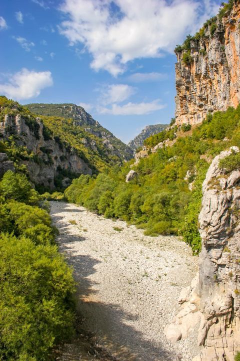 Vikos Gorge: Wild animals like bears, deer, foxes and birds live in the area of Vikos and they are all protected by the Vikos-Aoos National Park System.