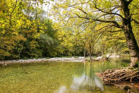 Voidomatis River: Voidomatis is popular for its clean water, as it is probably the cleanest river in Europe.