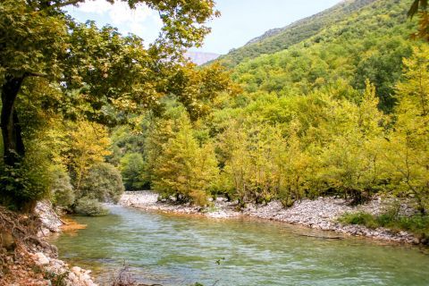Voidomatis River: Dense vegetation.