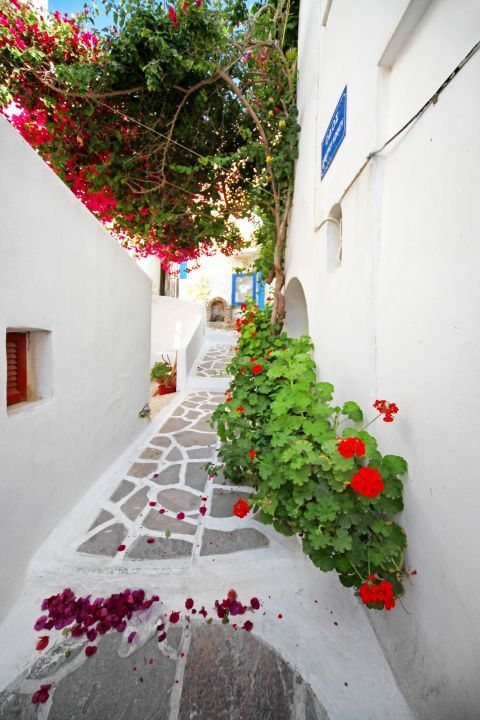 Kastro (Castle): Whitewashed Cycladic houses and colorful flowers