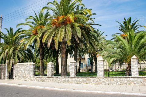 Museum of Trikoupis House: The mansion boasts an elegant garden with palm trees.