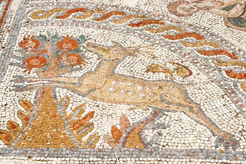 Archaeological Museum: A mosaic decoration, depicting a deer and flowers