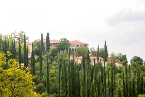 Agia Lavra Monastery: The Monastery of Agia Lavra is placed among trees and lush vegetation.