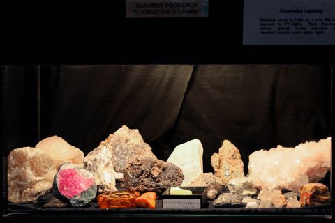 Geological Museum: Exhibits of the Geological Museum