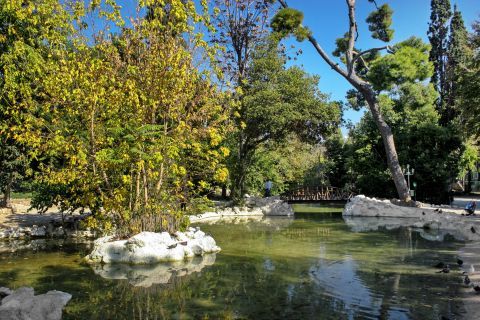 National Gardens: A beautiful lake with trees