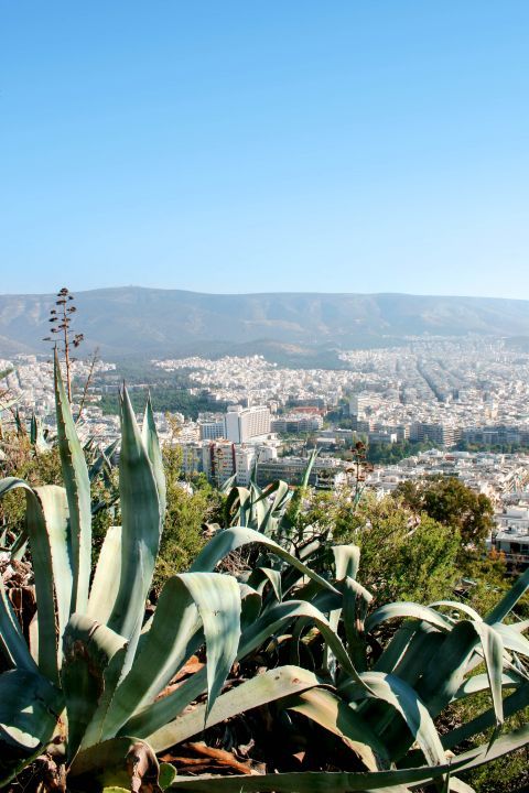 Lycabettus Hill: Beautiful nature and city view from Lycabettus hill