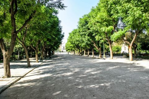Zappeion: A beautiful pavement leading to the Zappeion