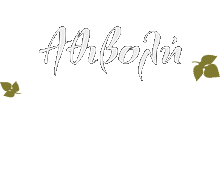 Athivoli logo