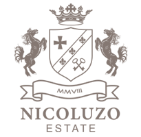 Nicoluzo logo