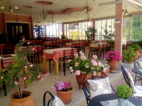Best 12 Restaurants in Parga, Greece | Greeka