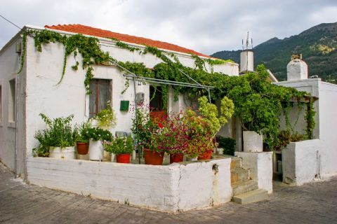 Lagoudi: A traditional house with a cozy yard.