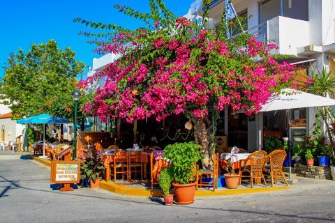 Pyli: A local tavern with colorful flowers.