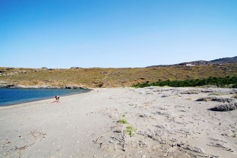 Chora Beach: Sandy beach and short vegetation