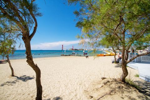 Agios Georgios: Some trees can be found on this beach