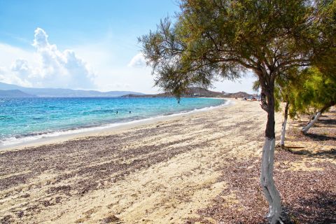Agios Prokopios: Some trees can be found on Agios Prokopios beach