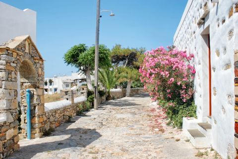 Chora: A paved alley with stone-built houses and lovely flowers.