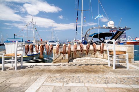 Town: Fresh seafood in Naxos Town