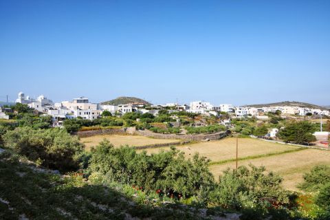 Plakes: Green fields and Cycladic houses
