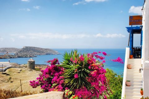 Chora: Colorful flowers and amazing seaview