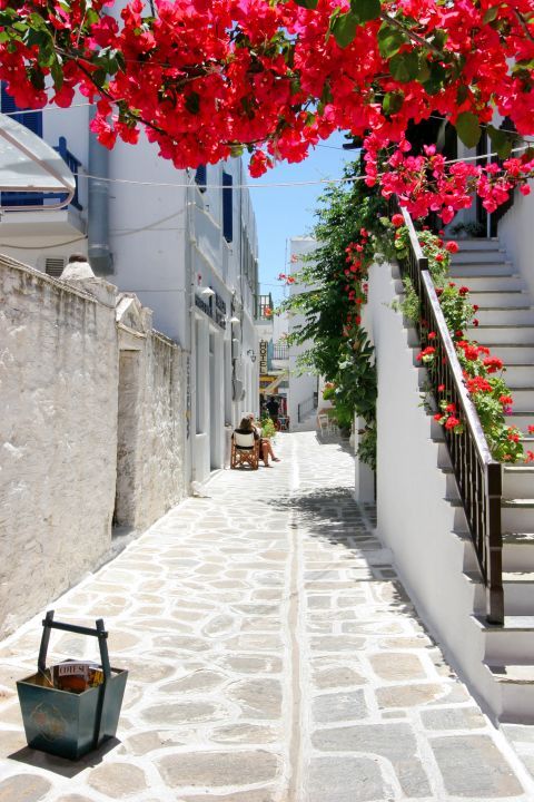 Parikia: Colorful flowers and a whitewashed street