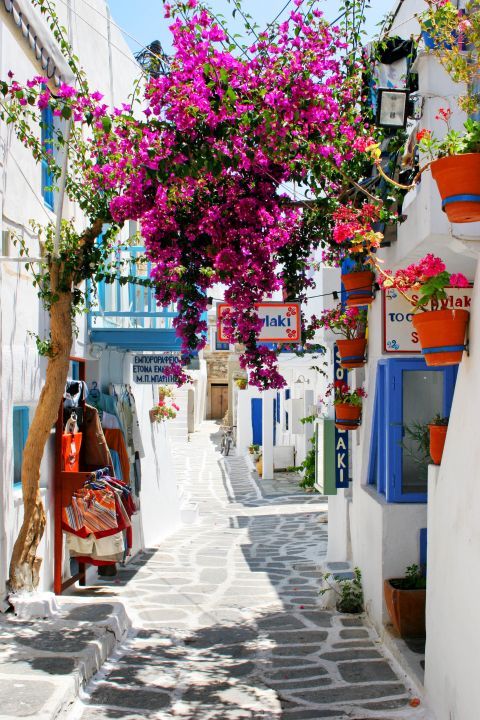 Naoussa: Colorful flowers and many shops