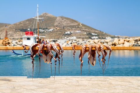 Naoussa: Octopuses, fished by local fishermen