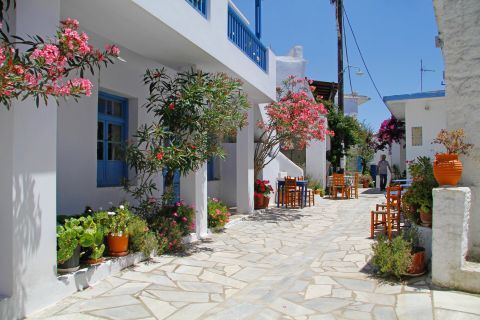 Kambos: Traditional Cycladic houses and colorful flowers