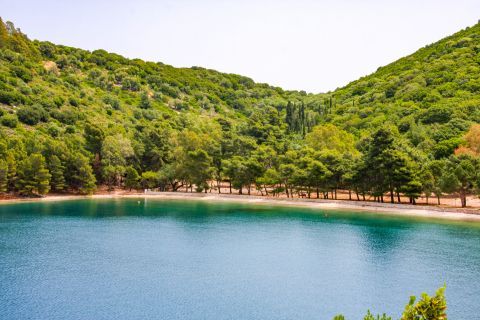 Skinos Bay: Lush vegetation and calm waters.
