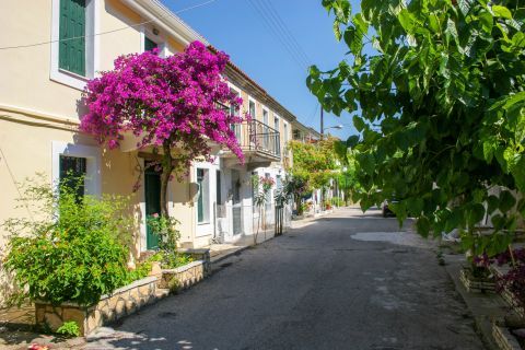 Vlichos: A picturesque alley with colorful trees.