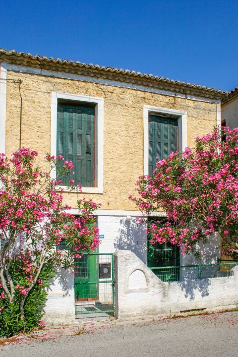 Vlichos: An old house, decorated with beautiful trees with fuchsia flowers.