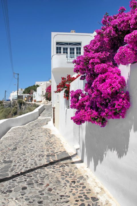 Fira: Whitewashed houses with beautiful flowers are found everywhere around Santorini
