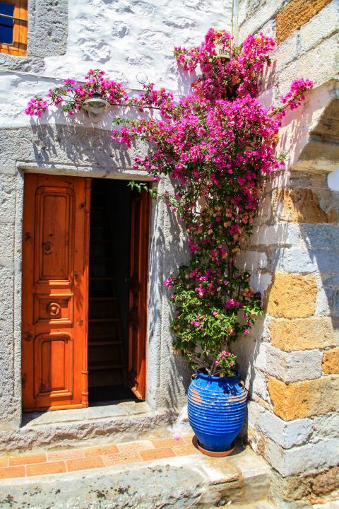 Chora: Colorful flowers outside local houses.