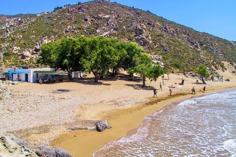 Psili Ammos: A picturesque cove with pure golden sand and sweeping dunes, with many tamarisk trees providing shadow.