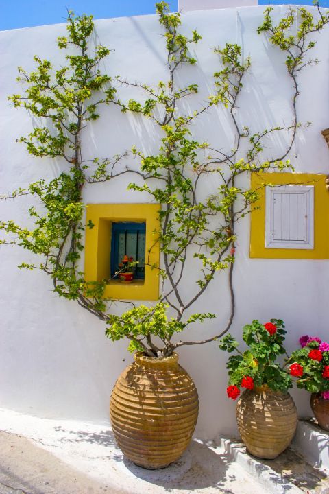 Chora: A whitewashed house with yellow details and lovely flowerpots.