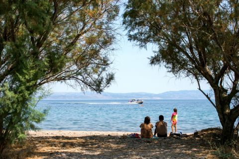 Kagia: The beach has several trees to provide shade.