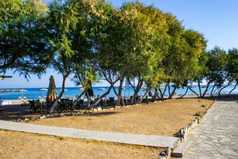 Karlovassi beach: Some trees provide nice shade.