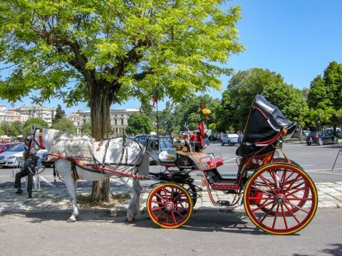 Town: A horse carriage in Corfu Town.